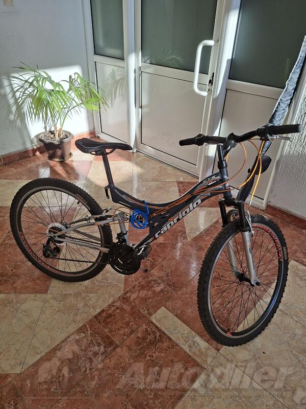 Capriolo - ctx 260