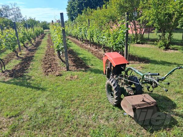 Lamborghini - labin proqres
