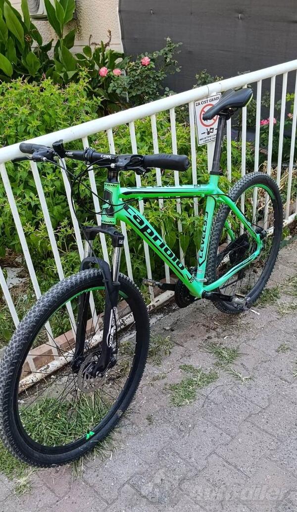 Capriolo - PRO SERIES