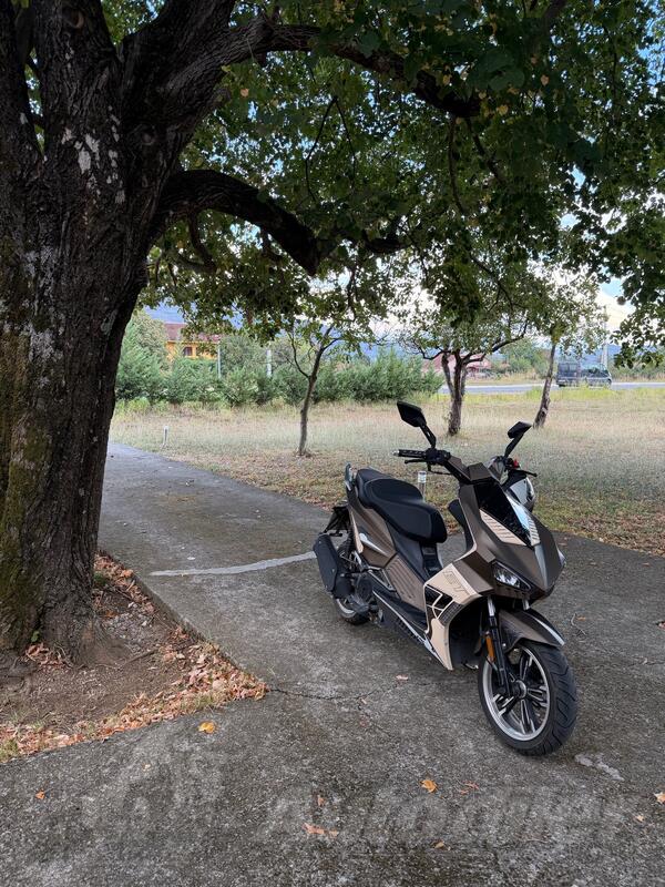 Peda - TY125T-51D