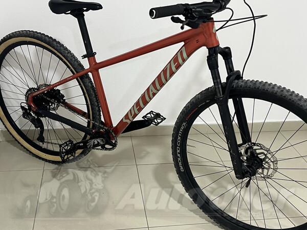 Specialized - rock hopper