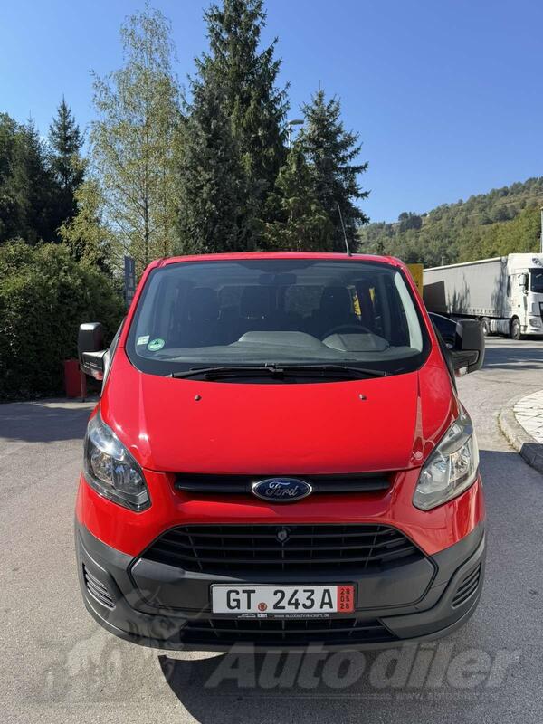Ford - custon