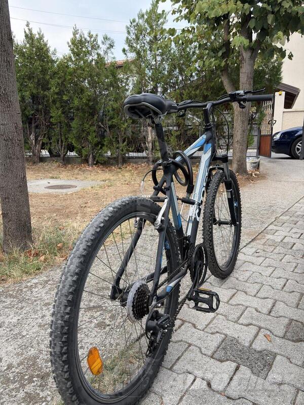 Cross - Romero 26