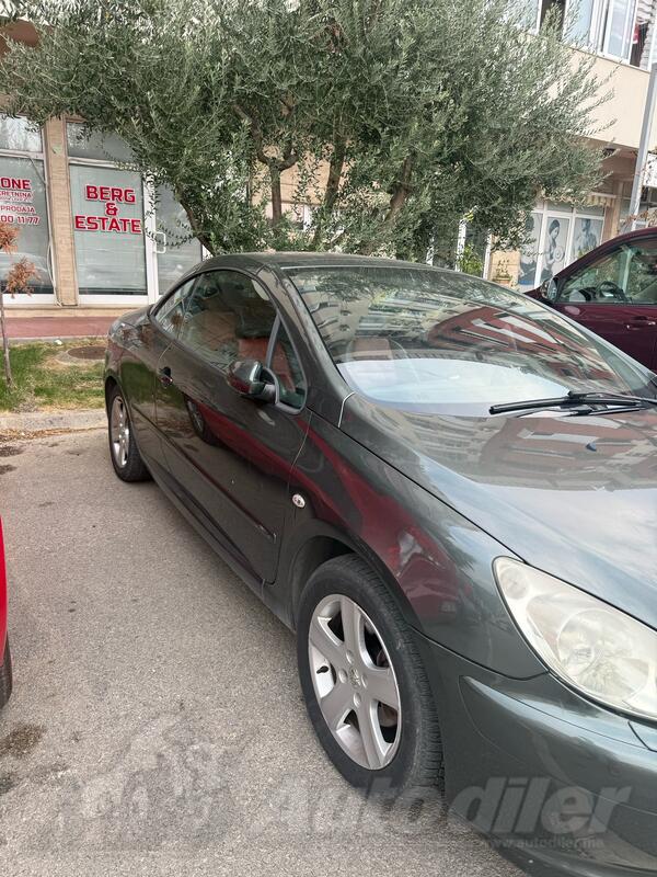 Peugeot - 307 - 2.0 benzin+plin