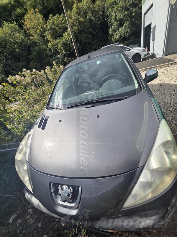 Peugeot - 207 - 1,2