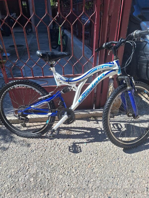 Capriolo - ctx 240