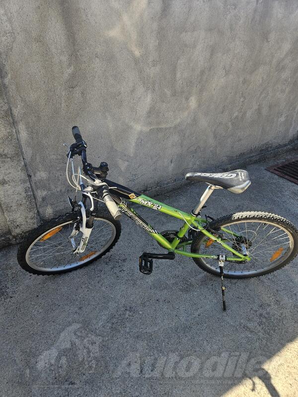 Author - MTB Genesis MX 24