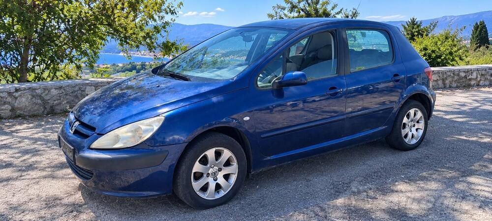Peugeot - 307 - 1.6 Hdi