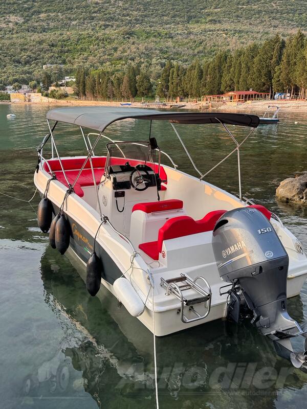 Carver yachts - cayman