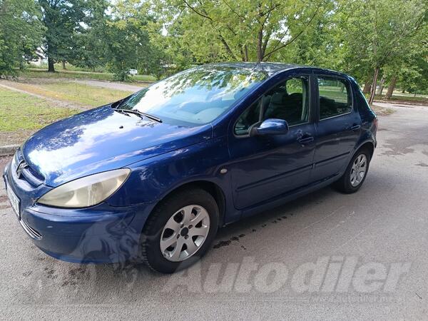 Peugeot - 307 - 1.6 benz plin