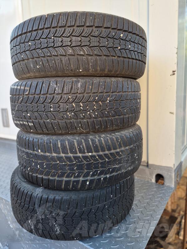 Sava - 205/50R 17 - Zimska guma