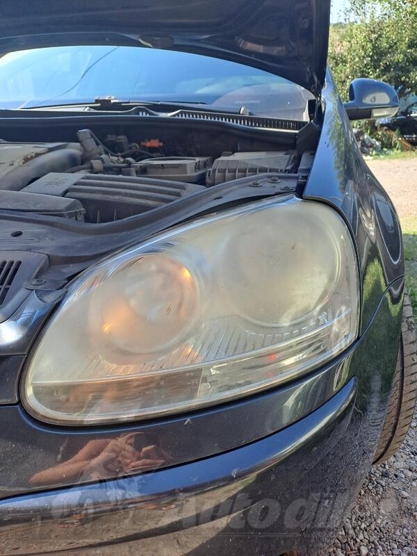 Car polishing - Car detailing services