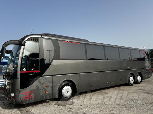 MAN - Lion's Coach