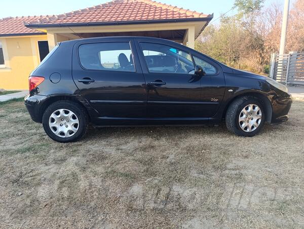 Peugeot - 307 - 1.6