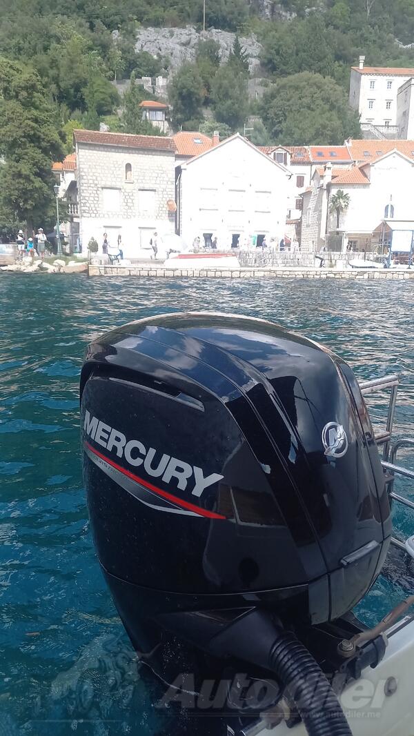 Mercury - 115hp EFI - Motori za plovila