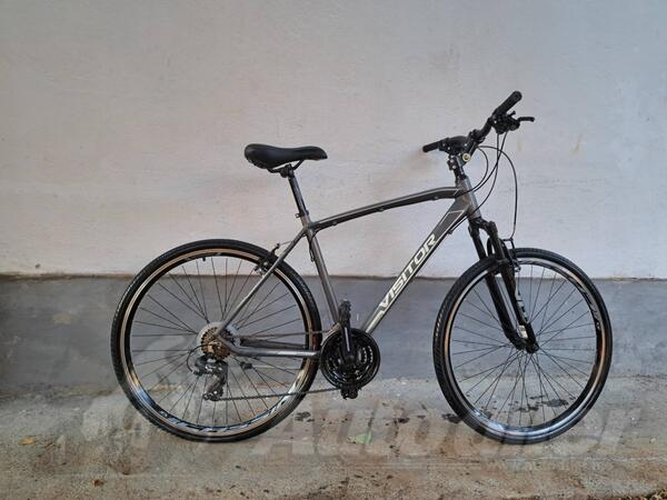 Shimano - visitor